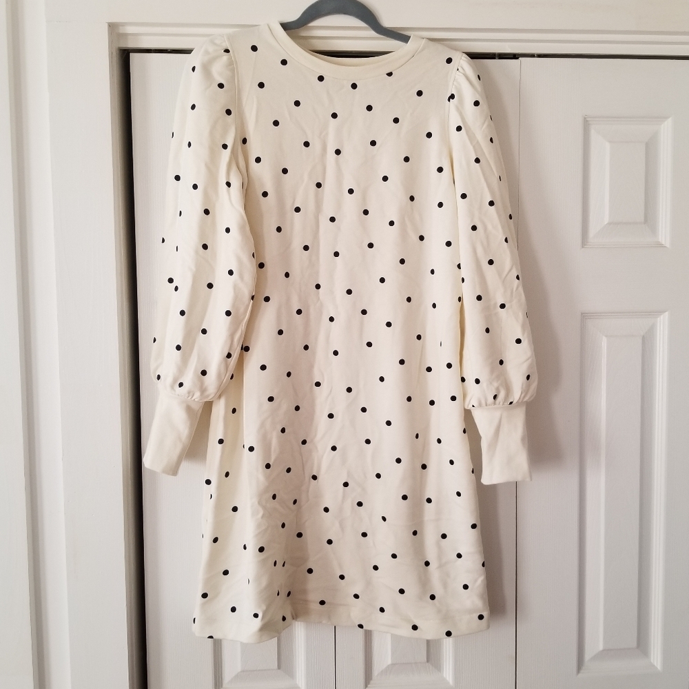 BODEN Ramona Sweatshirt Dress  Ivory with navy polka-dot 100% Cotton Sz 8